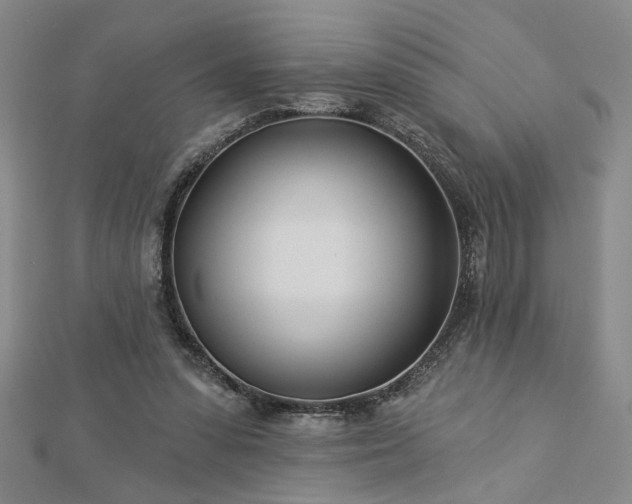 X0000113000303200908271353