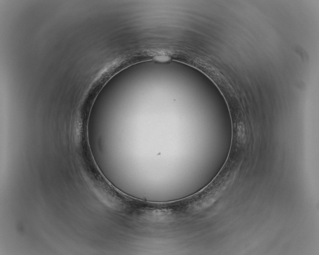 X0000113000304200908271353