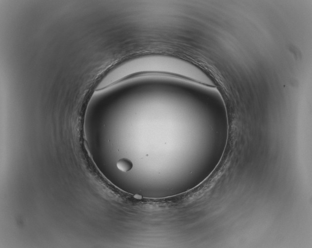 X0000113000305200908271353