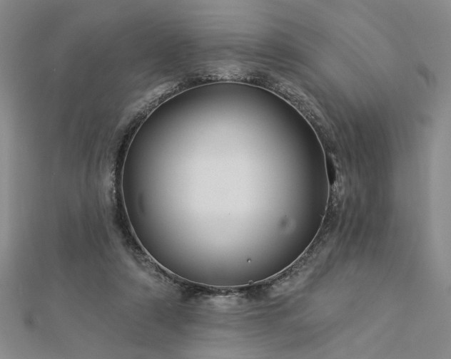 X0000113000306200908271353