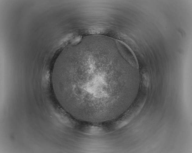 X0000113000308200908271353