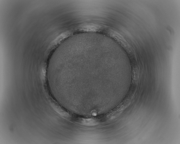 X0000113000309200908271353