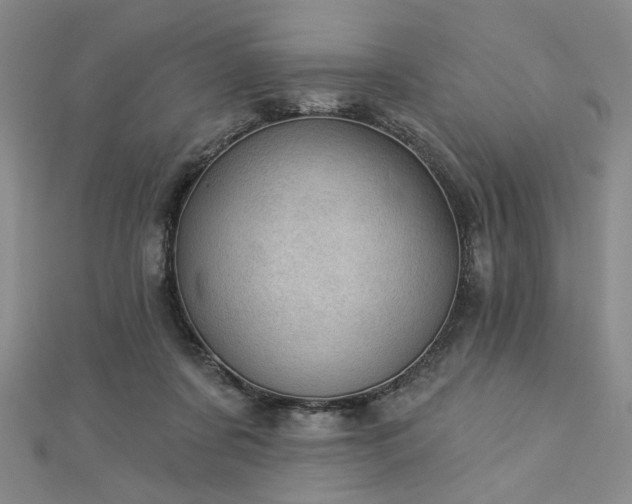 X0000113000311200908271353