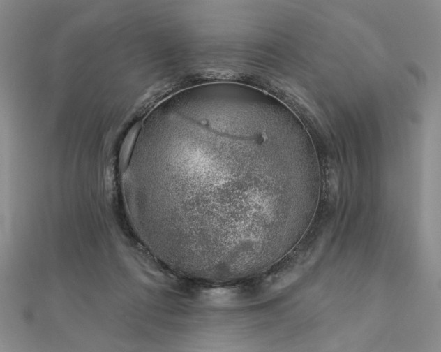 X0000113000312200908271353