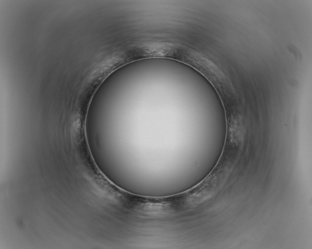 X0000113000314200908271353
