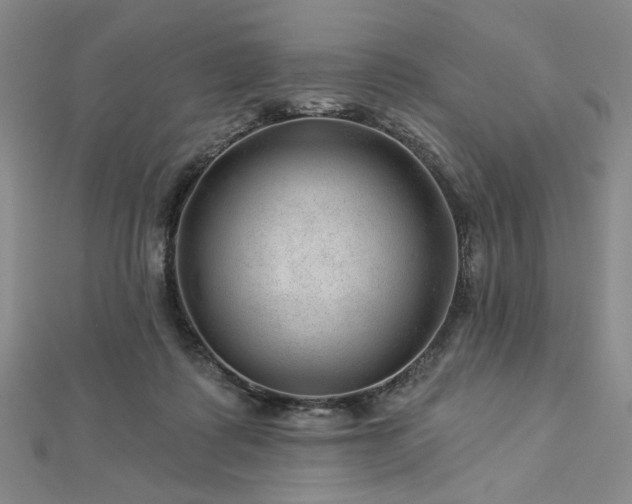 X0000113000315200908271353