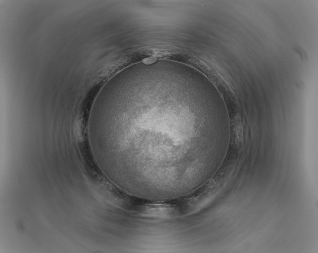 X0000113000316200908271353