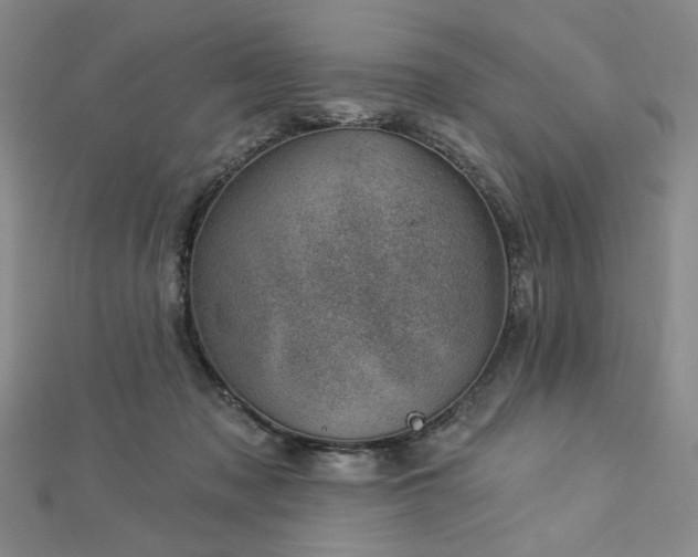 X0000113000317200908271353