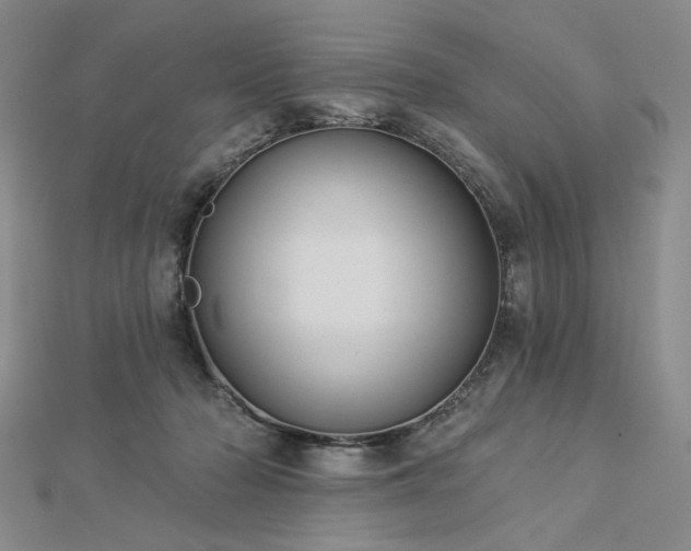 X0000113000318200908271353