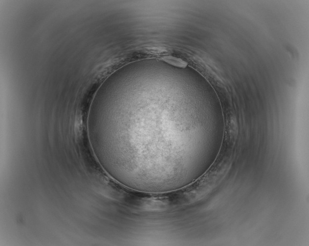 X0000113000320200908271353