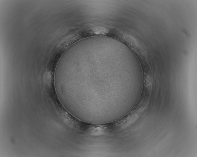 X0000113000321200908271353