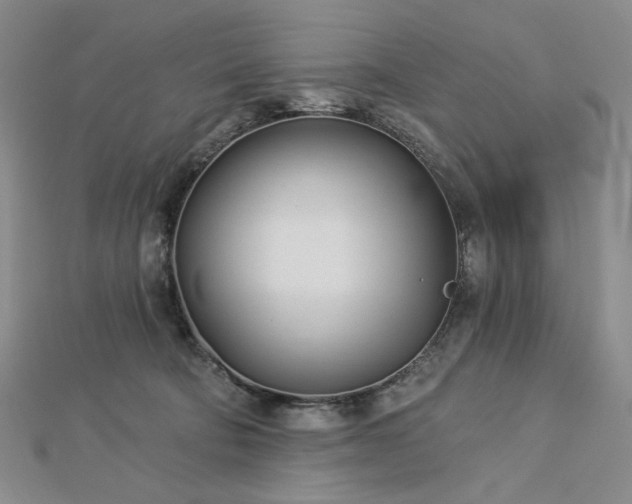 X0000113000322200908271353