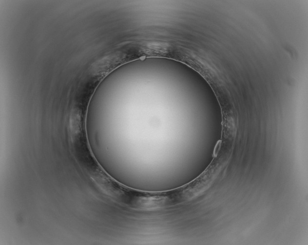 X0000113000323200908271353