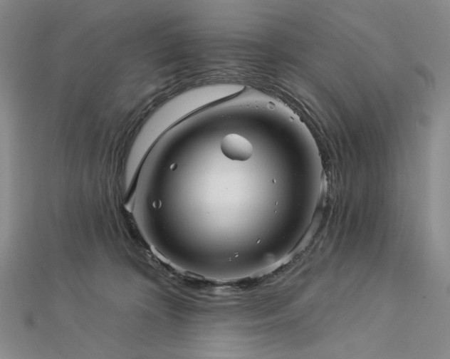 X0000113000324200908271353