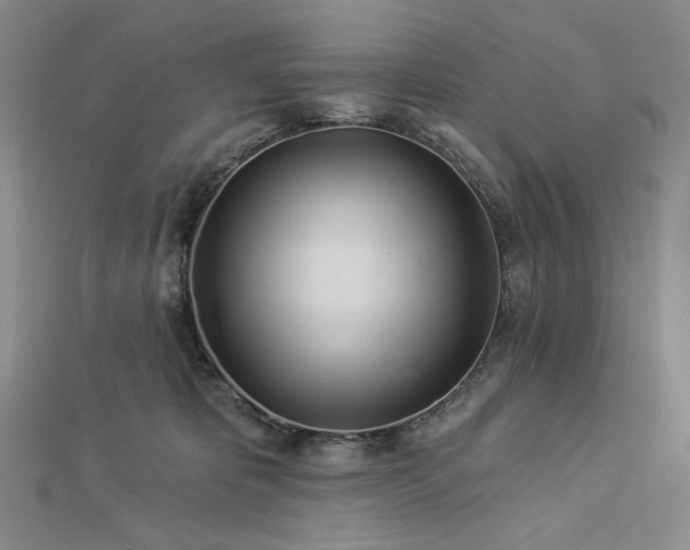 X0000113000325200908271353