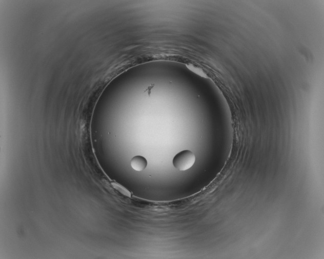 X0000113000327200908271353