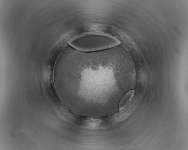 X0000113000328200908271353
