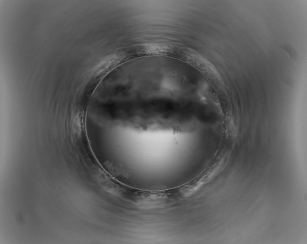 X0000113000329200908271353