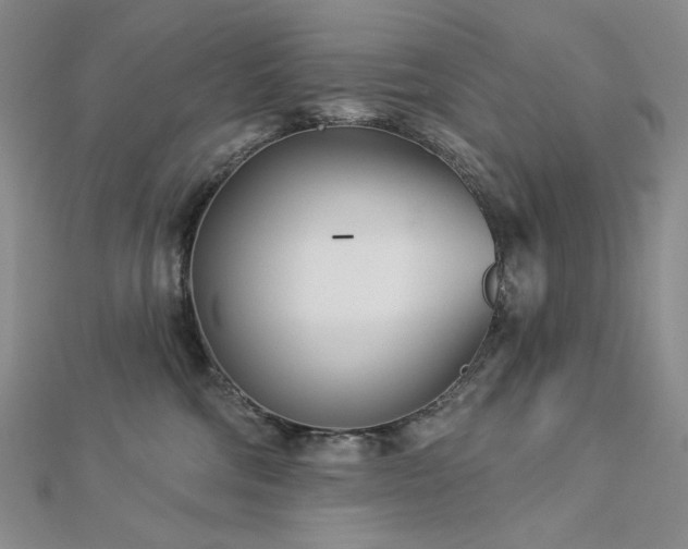 X0000113000330200908271353