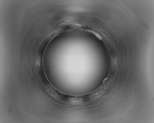 X0000113000331200908271353