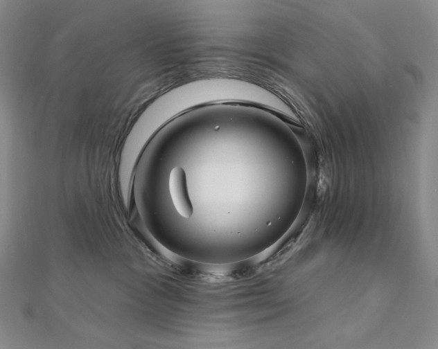 X0000113000333200908271353
