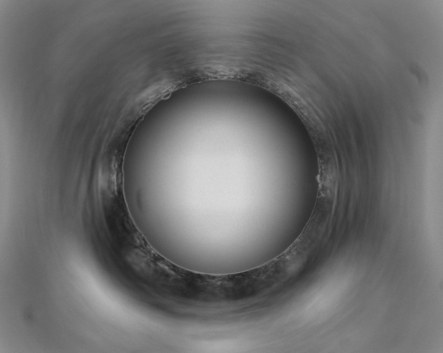 X0000113000334200908271353