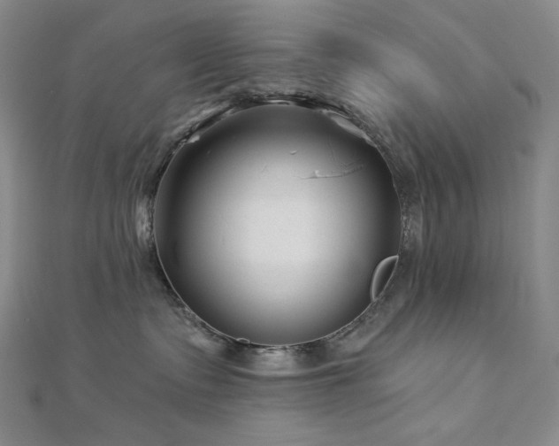 X0000113000335200908271353