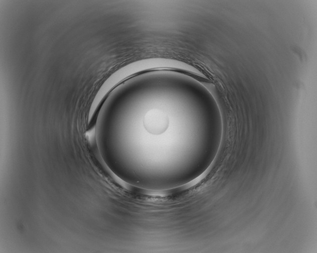 X0000113000336200908271352