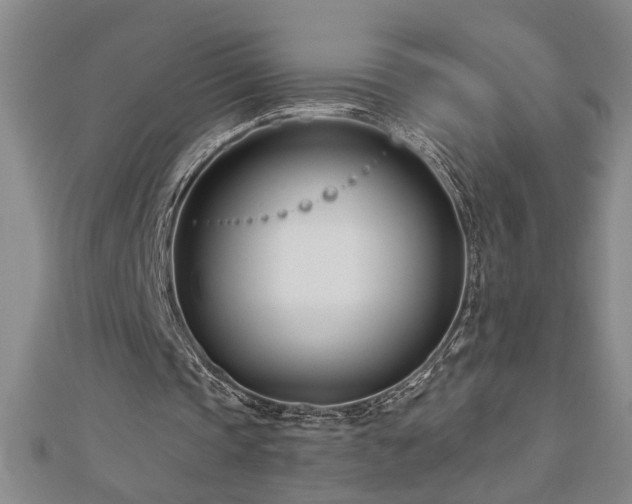 X0000113000337200908271352