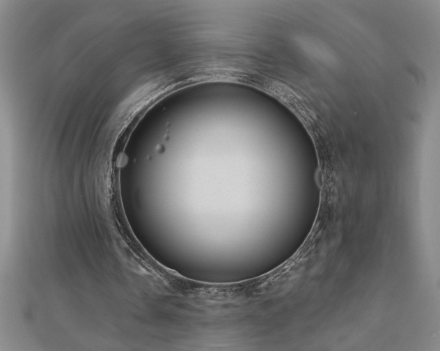 X0000113000338200908271352