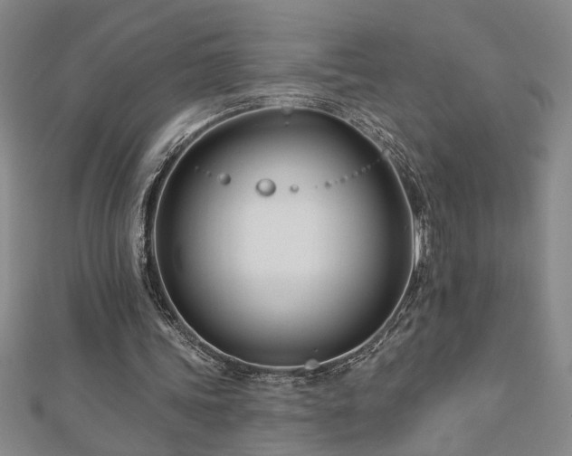 X0000113000339200908271352