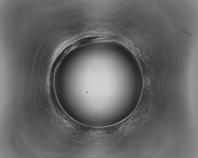 X0000113000340200908271352