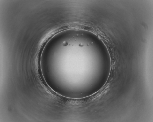 X0000113000341200908271352
