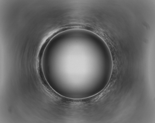 X0000113000342200908271352
