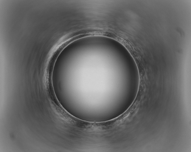 X0000113000343200908271352