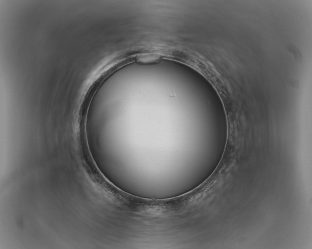 X0000113000344200908271352