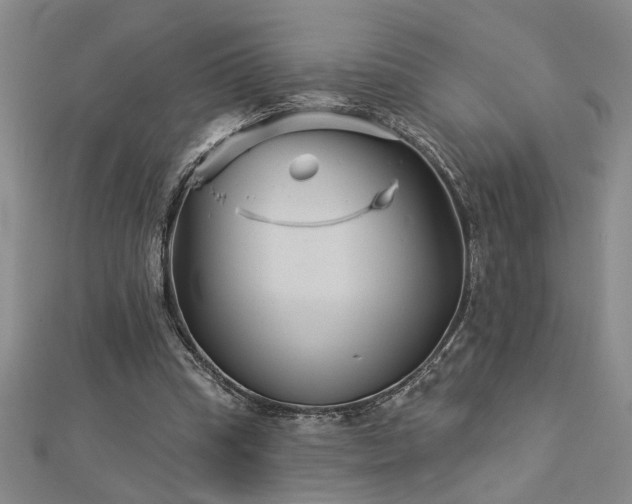 X0000113000345200908271352