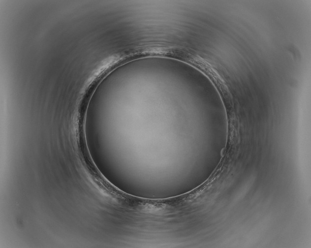 X0000113000346200908271352