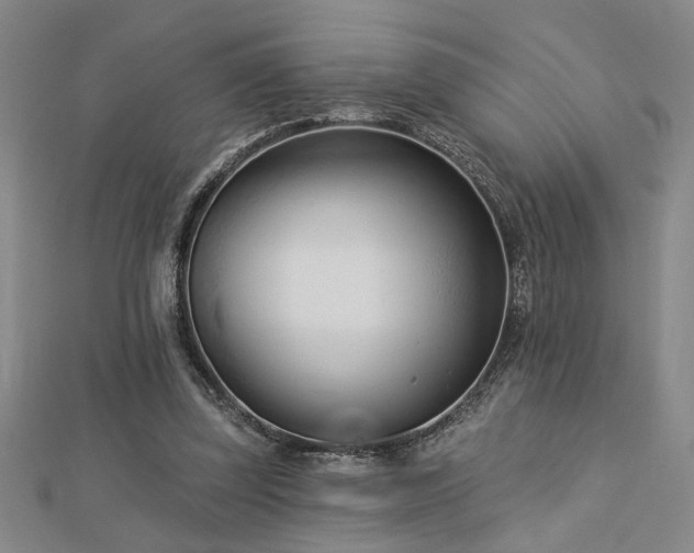 X0000113000347200908271352