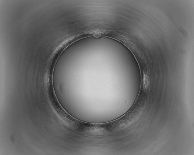 X0000113000348200908271352