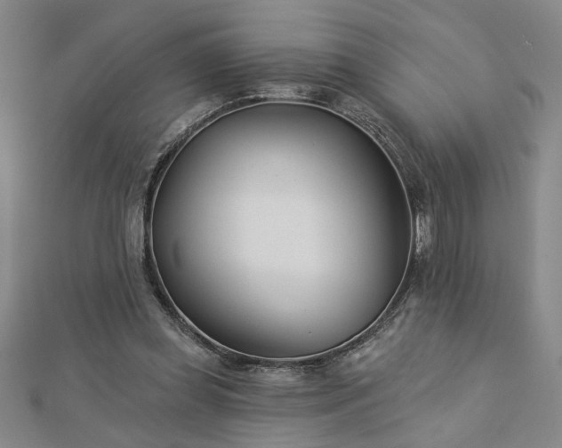 X0000113000349200908271352