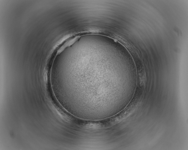 X0000113000350200908271352