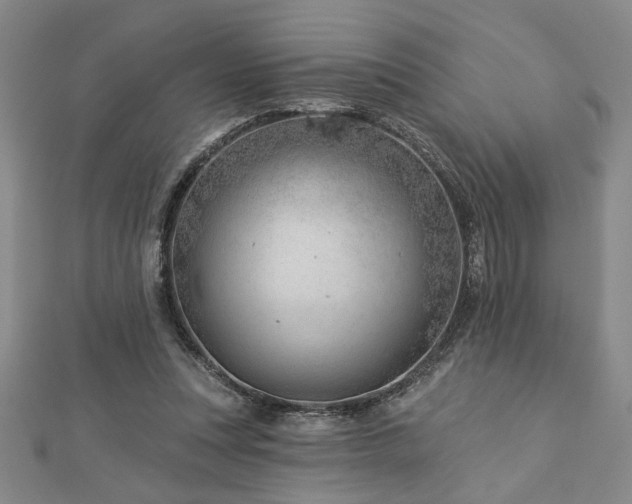 X0000113000351200908271352