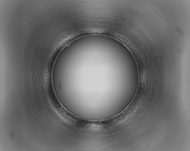X0000113000352200908271352
