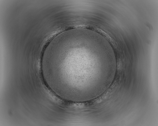 X0000113000353200908271352