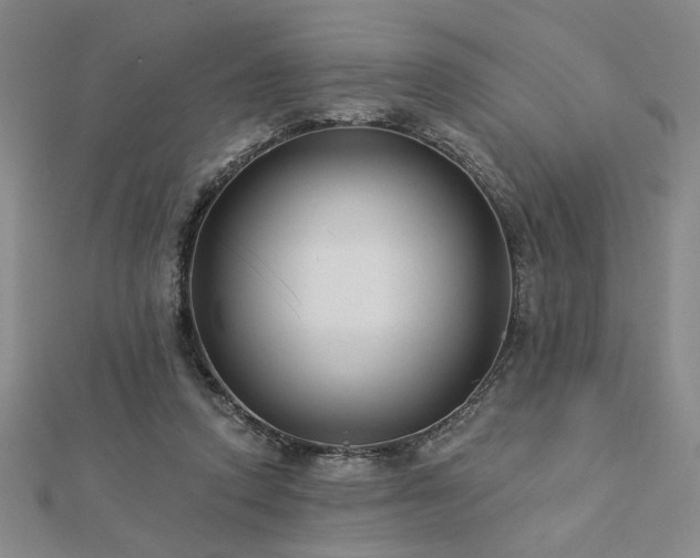 X0000113000354200908271352
