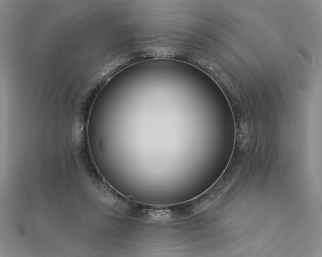 X0000113000355200908271352