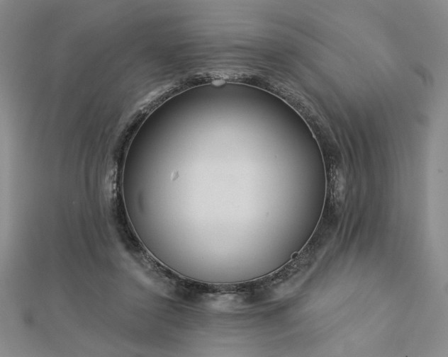 X0000113000356200908271352