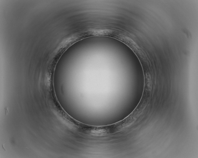 X0000113000357200908271352