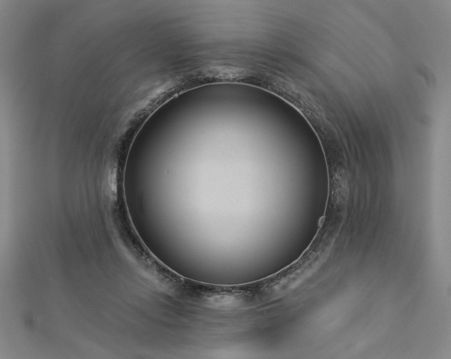 X0000113000358200908271352
